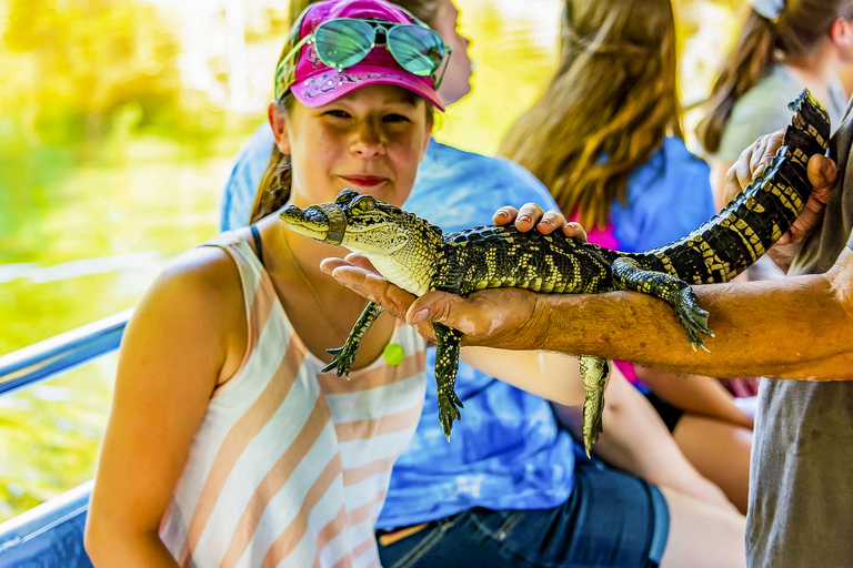 New Orleans: Oak Alley Plantation &amp; Swamp Cruise Day Trip