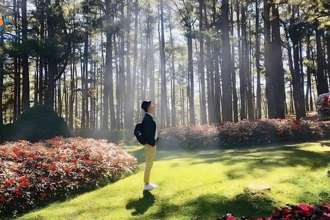 Dalat Culture Tour