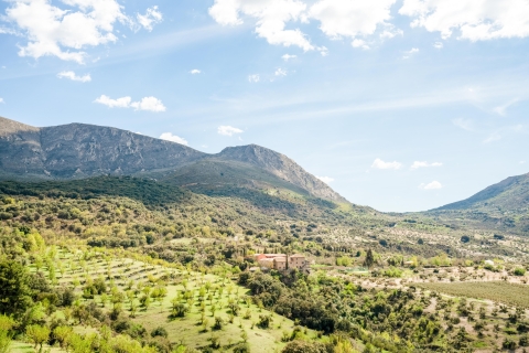 Granada: Geländewagen-Safari in der Sierra NevadaKleingruppentour