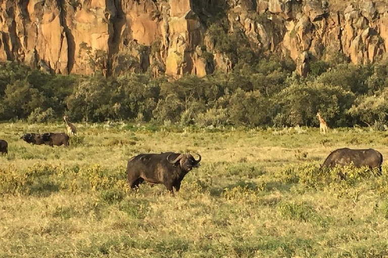 Nairobi: Hell's Gate & Lake Naivasha Day Trip with Boat Ride