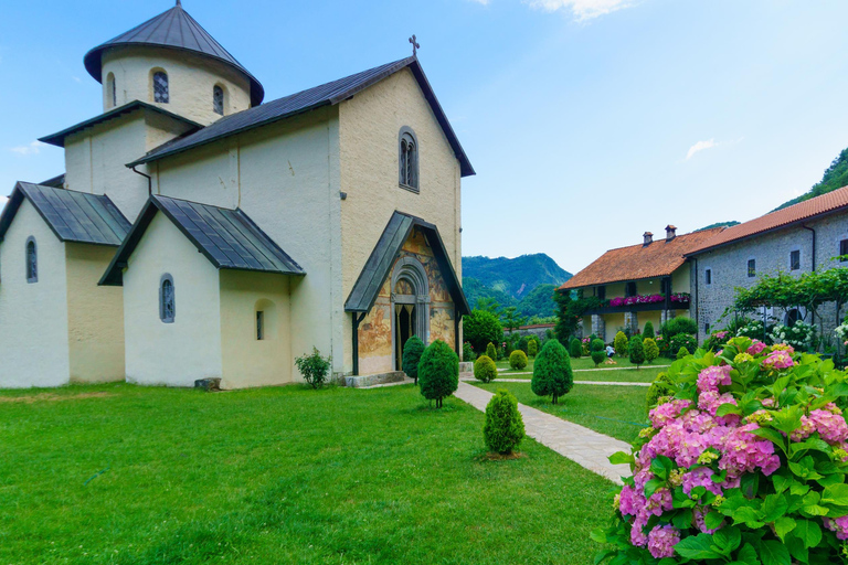Kotor: Dagsutflykt och båtresa till Skadarsjön och BiogradFrom Herceg Novi