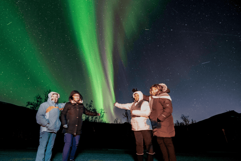 Tromsø: Small-Group Aurora Tour with Free Photos (8 Hours)
