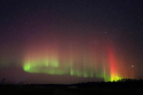 Rovaniemi: Aurora Hunting Photography Tour(98% Success Rate)