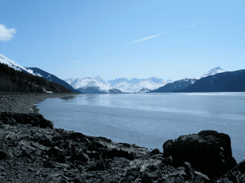 Ab Anchorage: Gletscher- und Wildtier-Tagestour Ab Anchorage: Gletscher- und Wildtier-Tagestour