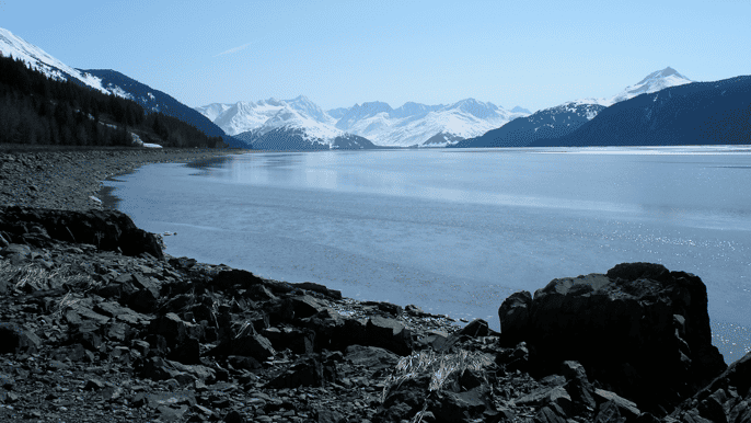 from anchorage glacier and wildlife fullday tour