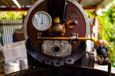 Guided tour to Fairview Coffee Farm