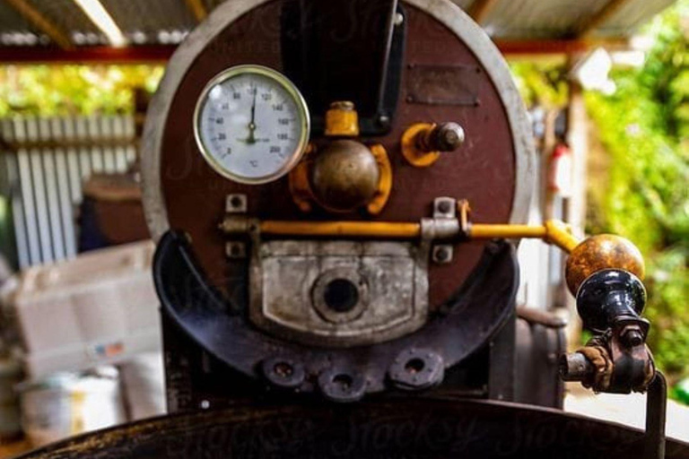 Guided tour to Fairview Coffee Farm