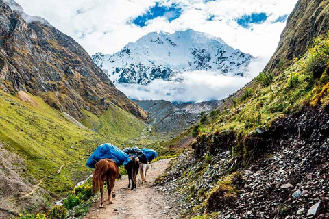 5 Days of Trekking in Salkantay and Machu Picchu.