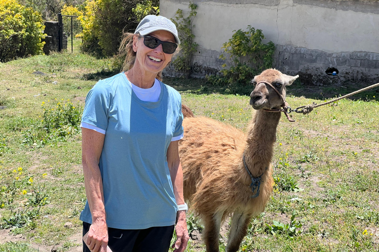 Quito : randonnée et visite à vélo du volcan Cotopaxi avec un guide