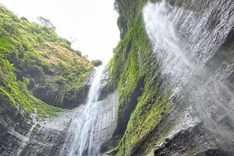 Madakaripura Wasserfall, Bromo Sonnenaufgang &amp; Ijen Krater (3D/2N)