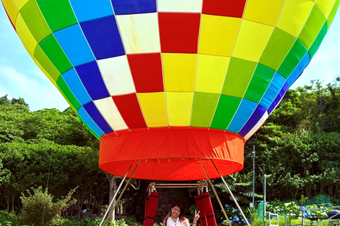Jeju Trendy Café Tour including Snoopy Garden