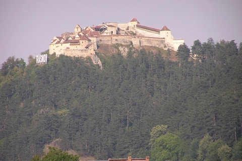 Private DayTrip Bucharest: Brașov, Dracula, Bear Sanctuary