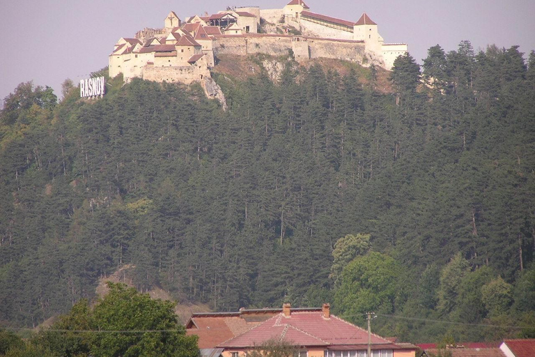 Private DayTrip Bucharest: Brașov, Dracula, Bear Sanctuary