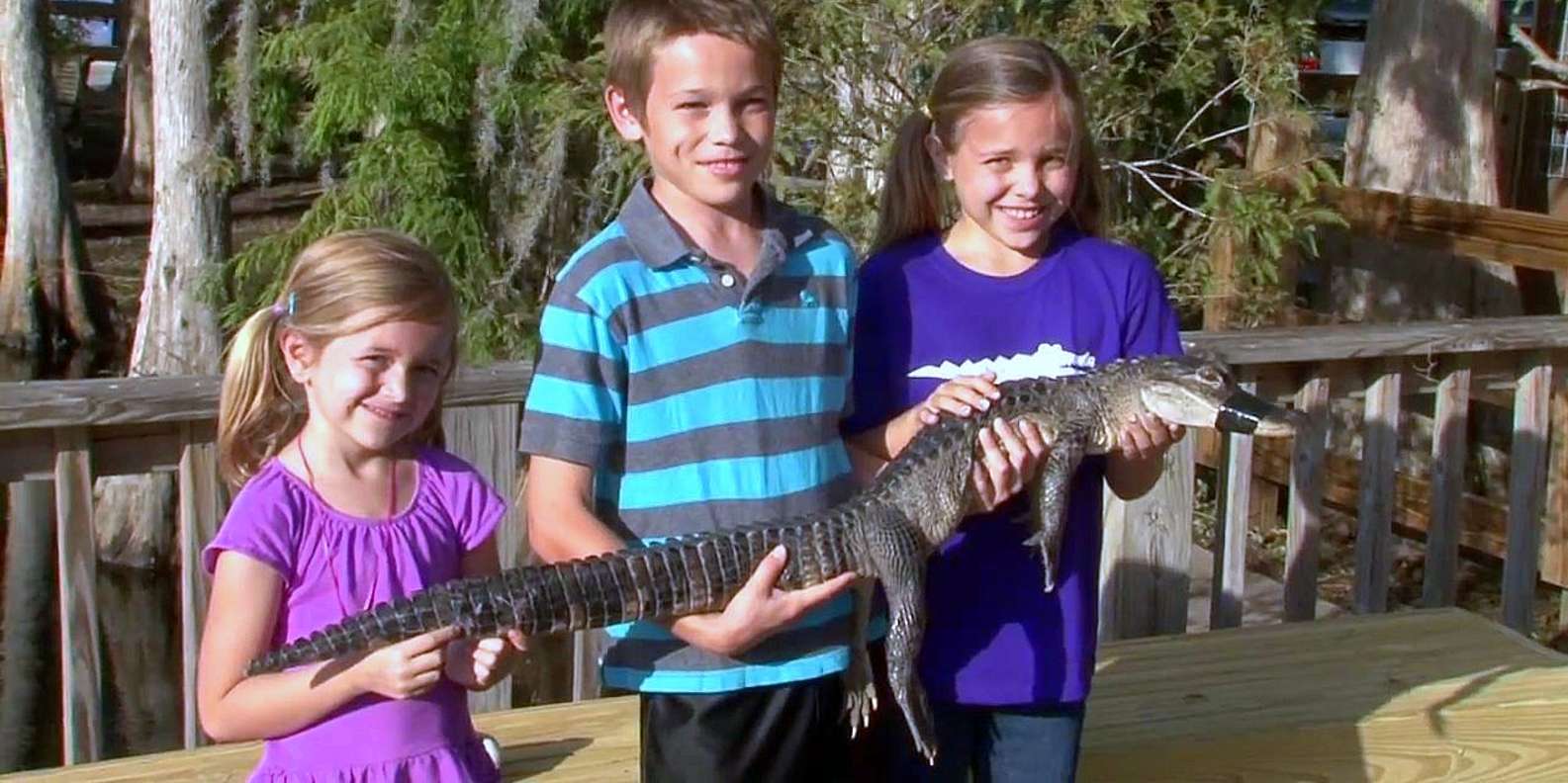 10 Best Airboat Tours In Orlando, FL