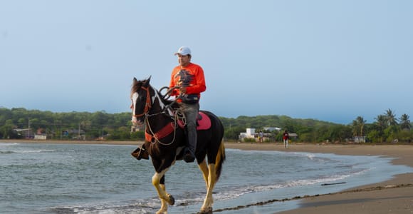 Cartagena: Horse Riding on the Beach with Photos and Lunch