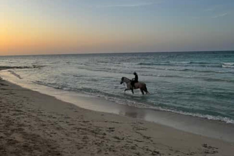 Djerba: Horseback Riding Adventure with Transfer