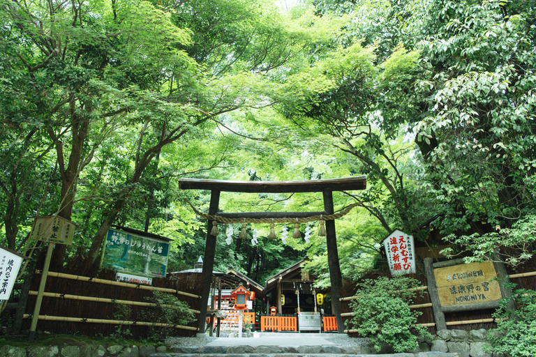 Day tour of Kyoto+Nara, Fushimi Inari Taisha+Arashiyama