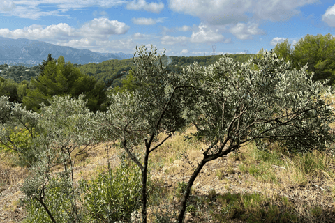 Marseille - Allauch: zwischen Tradition, Geschichte und NaturMarseille - Allauch: Öffentlich