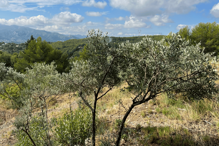 Marseille - Allauch: tussen traditie, geschiedenis en natuurMarseille - Allauch: Openbaar