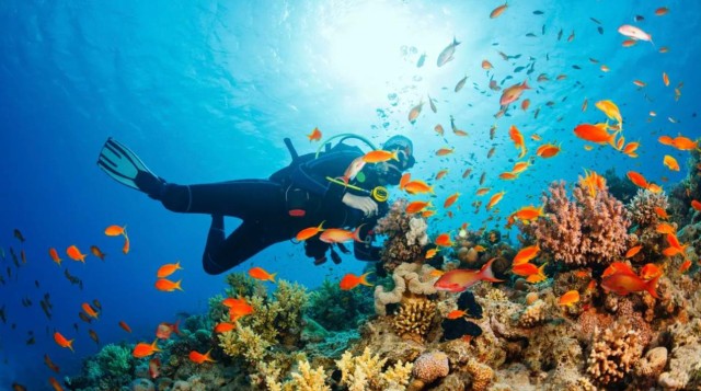 Visit Discovery Scuba Diving and Snorkeling in Mirbat in Salalah, Oman