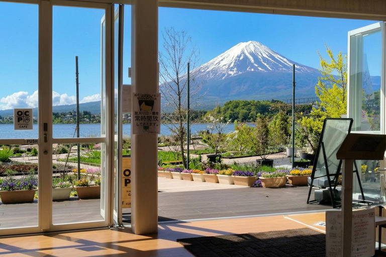 Tokyo: Mt Fuji & Oishi Park, Oshino Hakkai, Chureito Pagoda Free Karaage Chicken Set | Tokyo Station 8:00AM