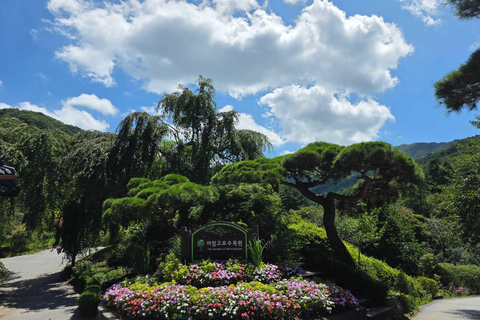 From Seoul: Garden of Morning Calm Day Tour by train