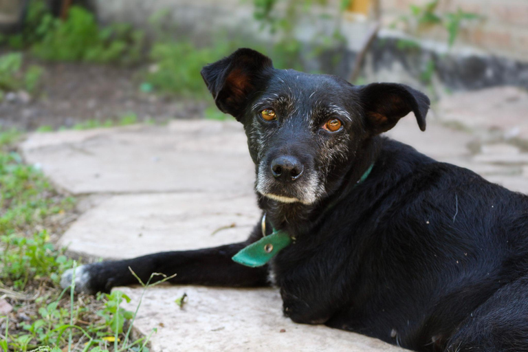 Córdoba: La Lomita Mountain Refuge Gedeelde ervaringWaar vreemden een stam worden - 7 dagen belevenis - Argentinië