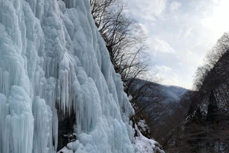 Nagoya return day tour Shin-Hotaka Ropeway& Hida Takayama