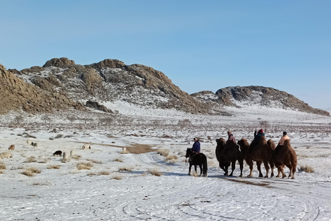 Mongolie : Désert de Gobi hivernal et parc national de Terelj ...