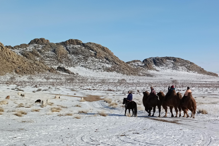 Mongólia : Deserto de Gobi de inverno e Parque Nacional de Terelj ...