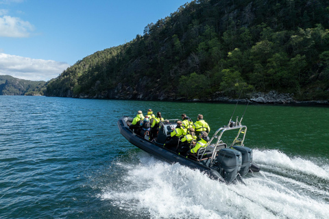 Bergen: Modalen RIB Fjord Safari with Lunch & Transfer