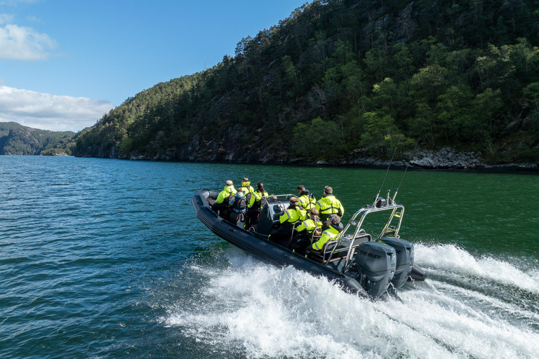 Bergen: Modalen RIB Fjord Safari with Lunch & Transfer