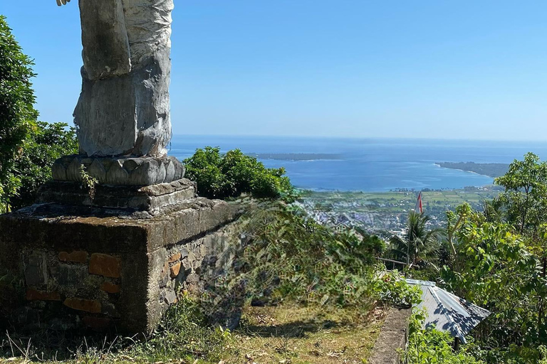 Wycieczki po grzybach na Gili