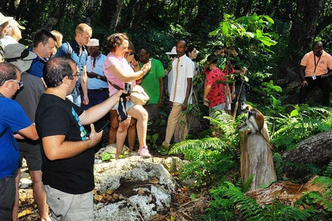 Zanzibar: Jozani Forest with Mangrove Boardwalk Experience Private Tour with Transfers (Anywhere in Zanzibar)