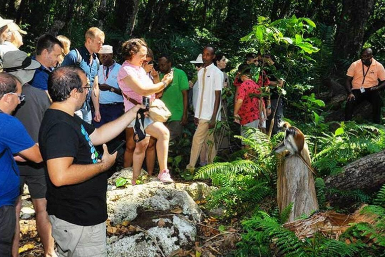 Zanzibar: Jozani Forest with Mangrove Boardwalk Experience Private Tour with Transfers (Anywhere in Zanzibar)
