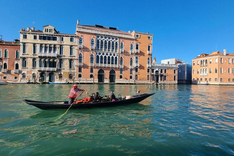 Venice: Full-Day Trip from Milan with Guided City Tour Tour in English