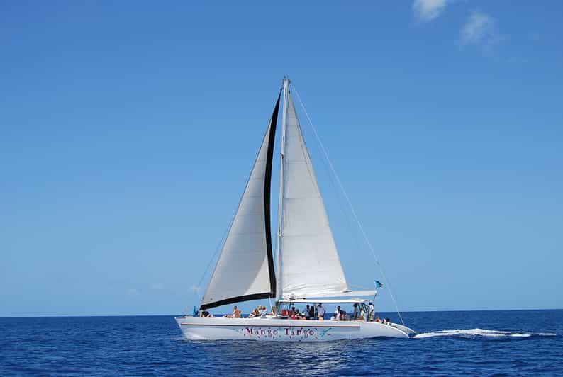 west coast catamaran cruise castries