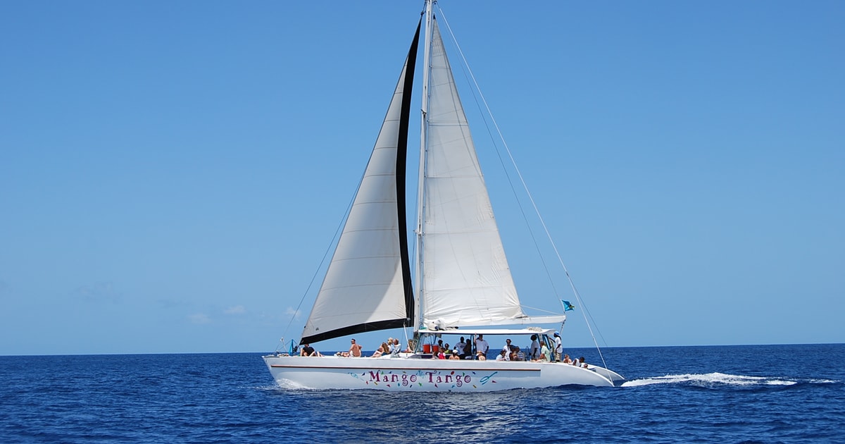 catamaran castries st lucia