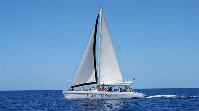 vanuit castries dagexcursie saint lucia per catamaran