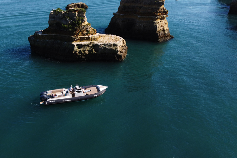 Esplora Benagil, Ponta da Piedade e i delfini in Algarve