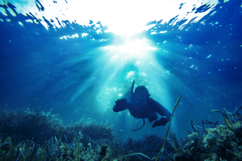 Gili Trawangan : Esperienza di pesca subacquea con cattura e cucina