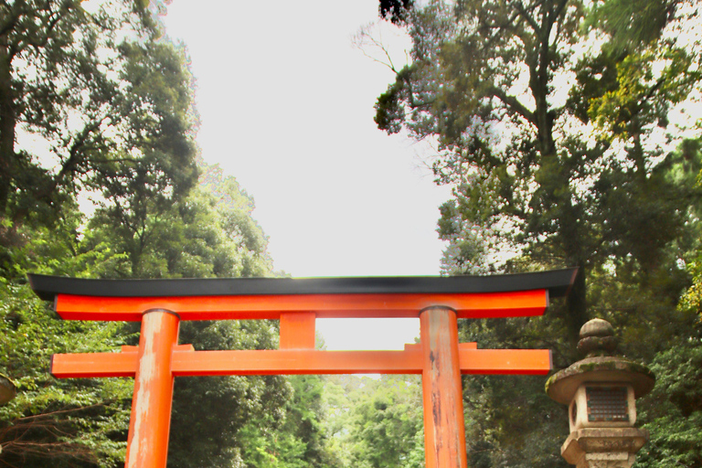 Da Nara:Tour di mezza giornata in autobus verso il Patrimonio dell&#039;UNESCO&amp;Mt. Wakakusa12:35 Stazione Kintetsu Nara