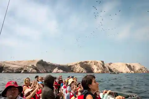 Dal porto di San Martin: Isola di Ballestas e Riserva di Paracas