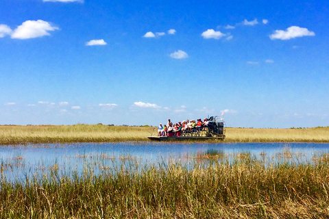 South Beach: Everglades Wildlife Airboat TourMorgonrundtur (kl. 9.00)