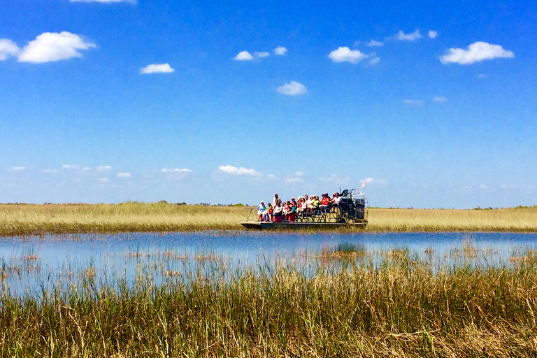 South Beach: Everglades Wildlife Airboat TourMorning Tour (9:00 AM)