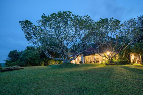 Bentota Private Tour from Colombo Geoffrey Bawa Lunuganga Garden Private Tour