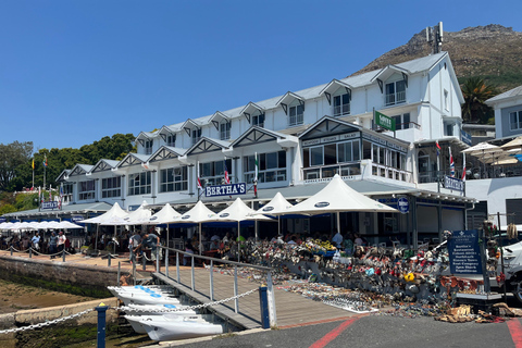 Cape of Good Hope & African Penguins Small Group Tour