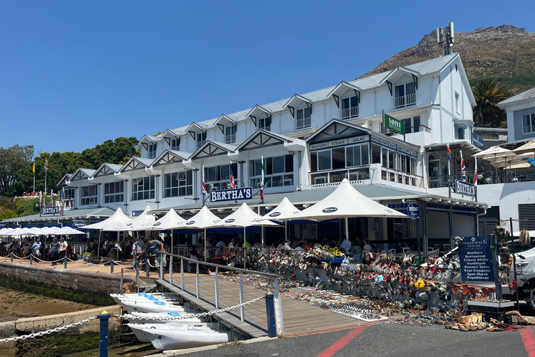 Cape of Good Hope & African Penguins Small Group Tour