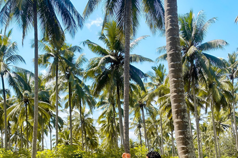 Zanzibar: Prywatny samochód i usługa kierowcyKendwa do akwarium nungwi