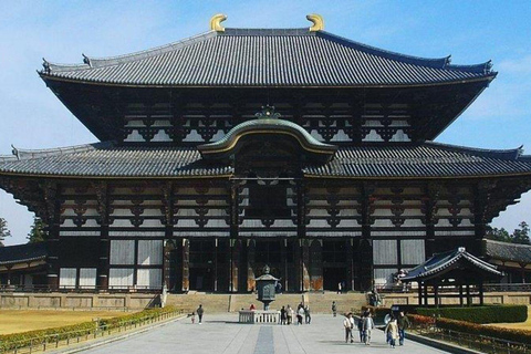 Kyoto/Osaka: Private Kyoto and Nara Tour with Tea Ceremony